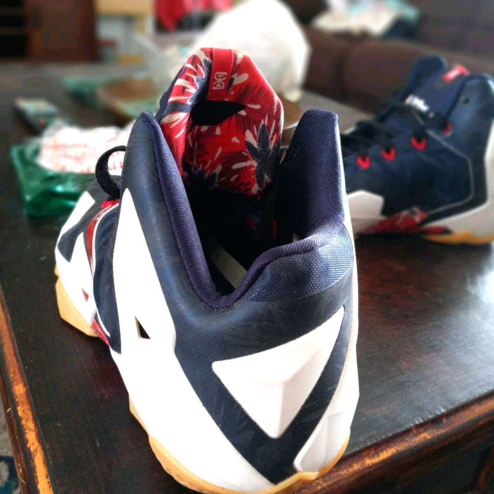 nike lebron flywire independent